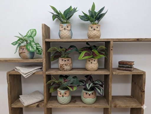 Wooden shelf with potted plants in owl-shaped pots against a white wall.
