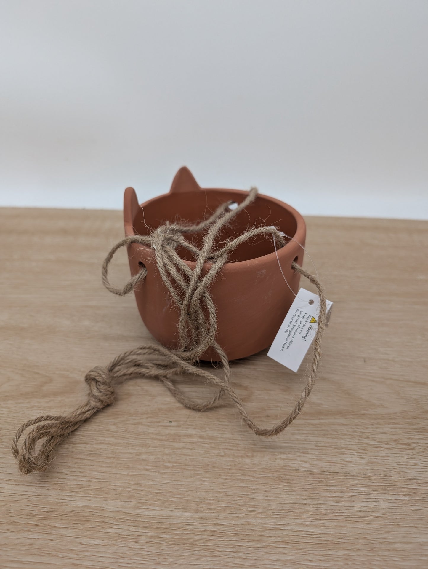 Sass and Belle Cat whiskers terracotta Hanging planter