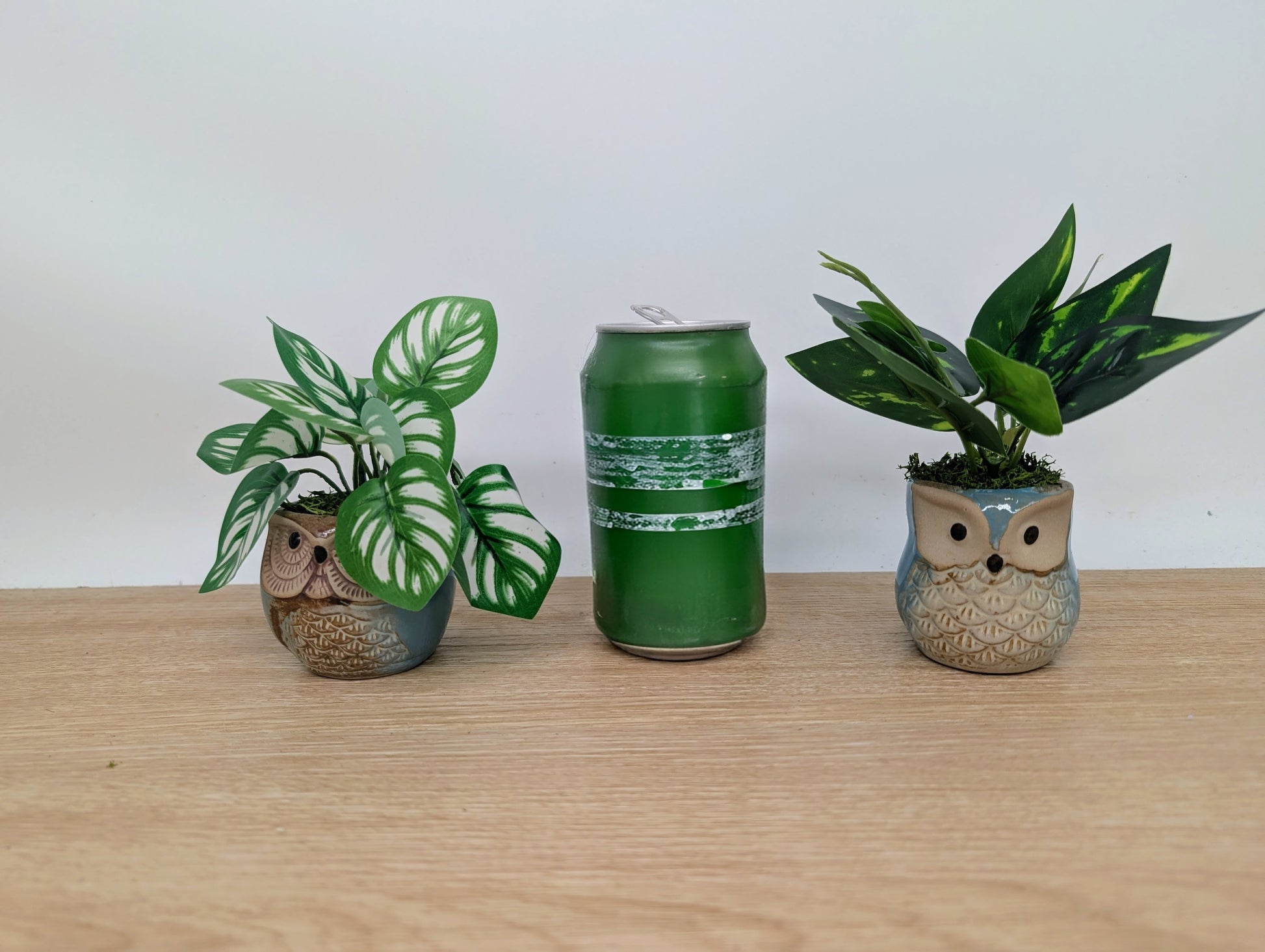 Two potted plants and a green can on a wooden surface with a white background