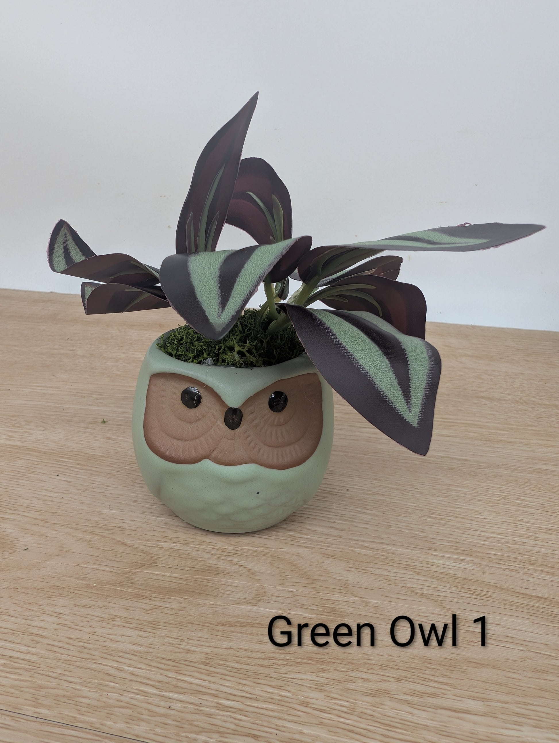Ceramic owl planter with a plant on a wooden surface, labeled 'Green Owl 1'.