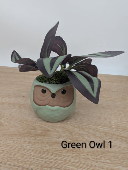 Ceramic owl planter with a plant on a wooden surface, labeled 'Green Owl 1'.
