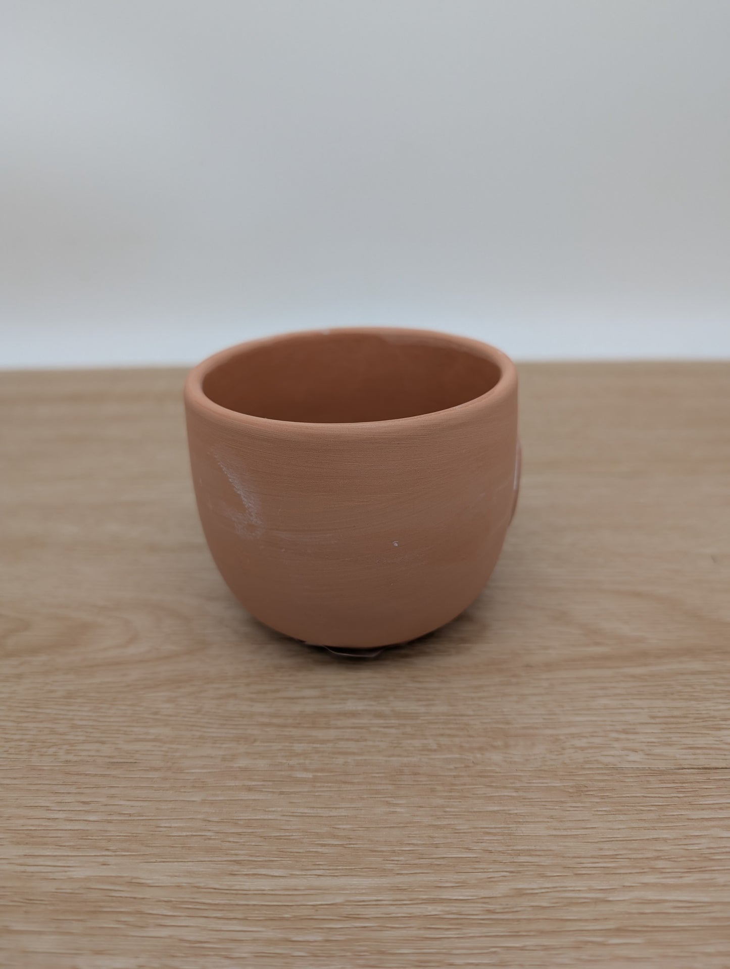 Sass and Belle Olivia Owl Terracotta mini pot
