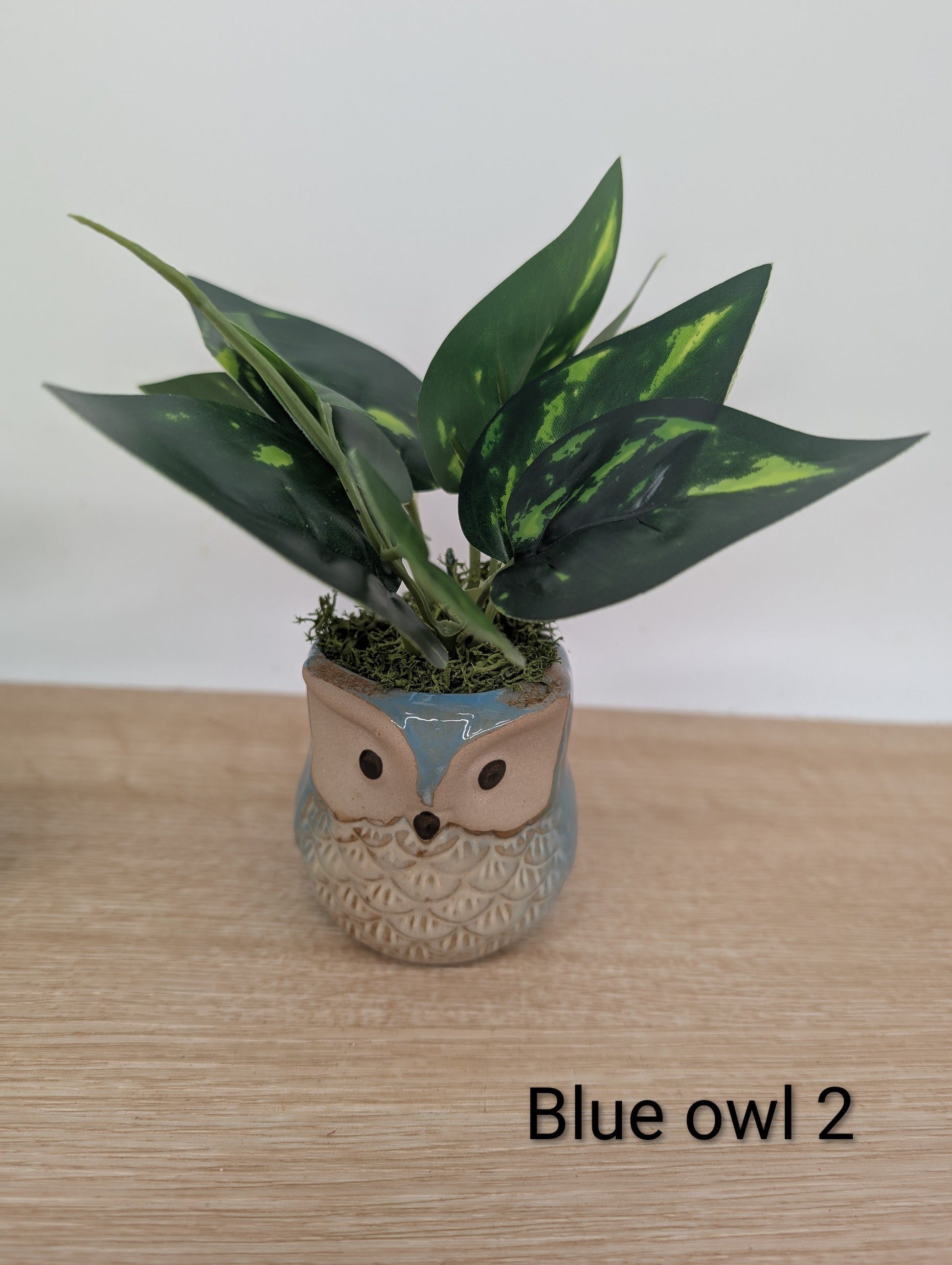 Potted plant in an owl-shaped pot on a wooden surface with a plain background