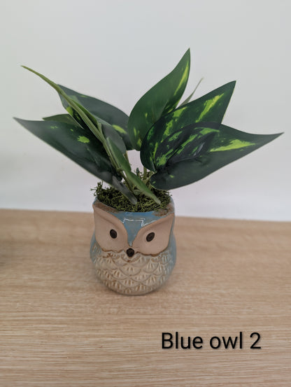 Potted plant in an owl-shaped pot on a wooden surface with a plain background